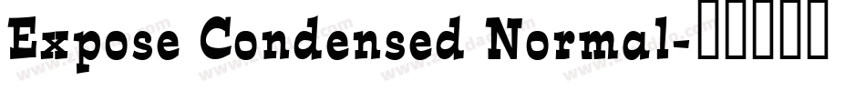 Expose Condensed Normal字体转换